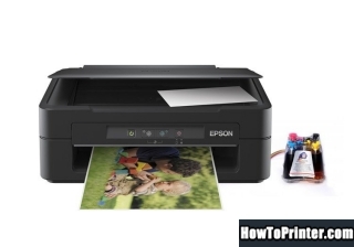 Reset Epson XP-100 printer by Resetter program