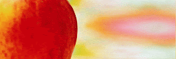 Profile cover photo