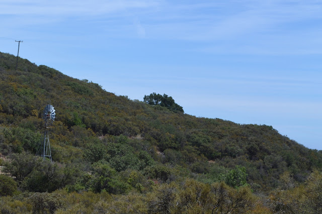 windmill along Painted Cave Rd.