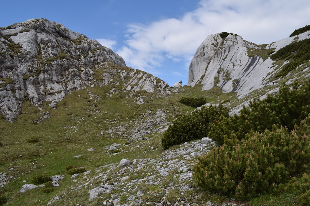 [DSC_26237]
