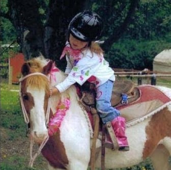 Lang's Horse & Pony Farm