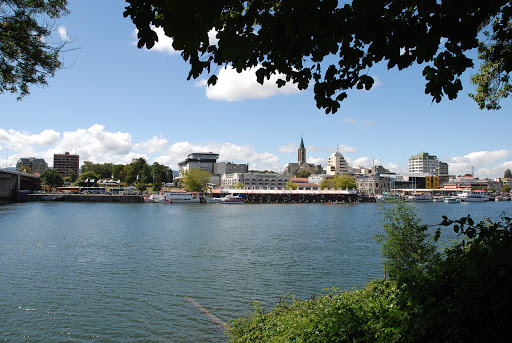 Parque Prochelle, Los Robles 1-65, Valdivia, Región de los Ríos, Chile, Parque | Los Ríos