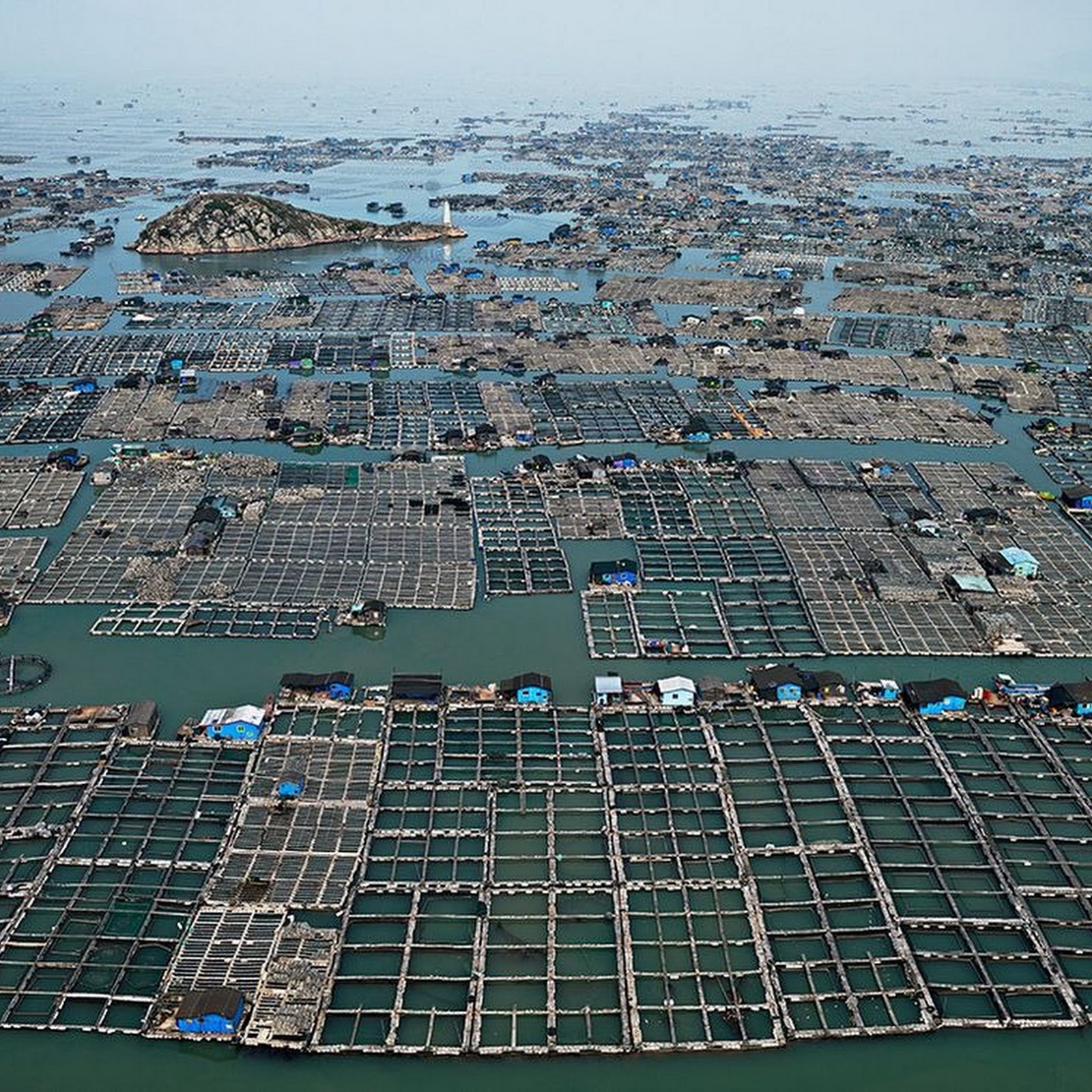 Image result for floating fish farms