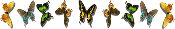 version-12e79dafa631ec8999849cd118c94050 version-12e79dafa631ec8999849cd118c94050