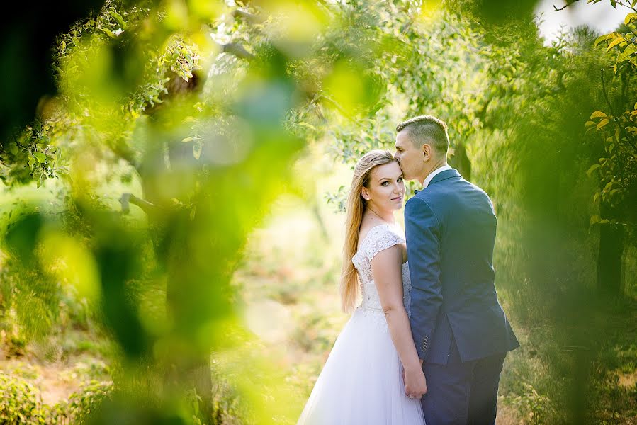 Fotografo di matrimoni Magdalena Czerkies (magdalenaczerki). Foto del 13 giugno 2017