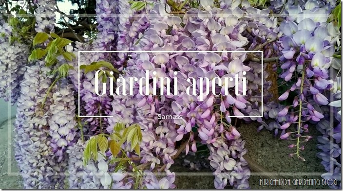 Cover-01 Cover-01