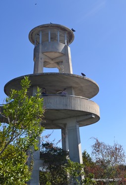 Observation Tower