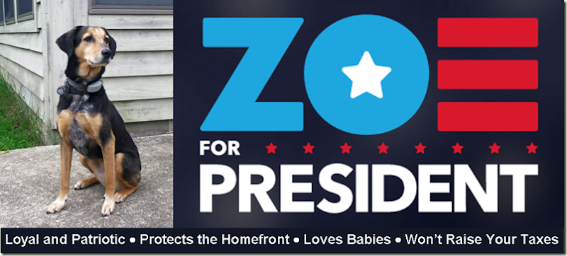 zoeforpresident2016