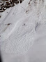 Avalanche Haute Maurienne, secteur Ouille du Midi, Pointe des Arpettes ; Glacier inférieur du Vallonnet - Photo 6 - © DAG Modane