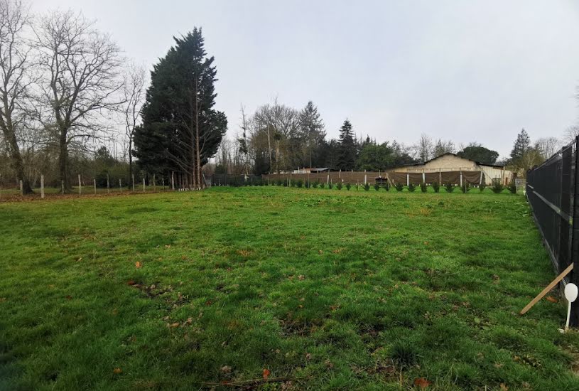  Vente Terrain + Maison - Terrain : 900m² - Maison : 92m² à Marimbault (33430) 