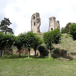 Château : ruines et Tour d'Anne de Bretagne