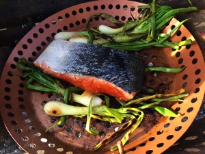 salmon and spring onions.jpg