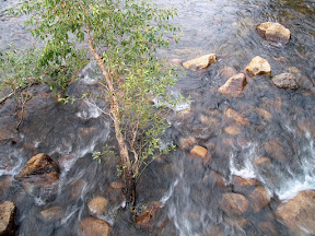 Merced River