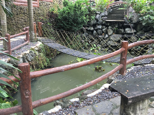 Noah's Park