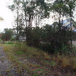 Track up to Sassafras Gully Rd (148560)