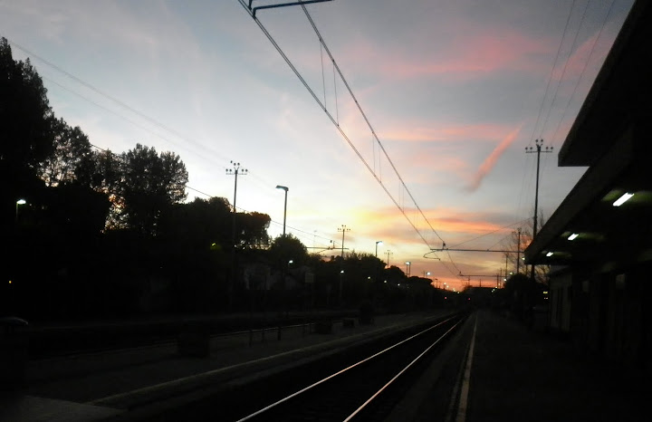 P1000135.JPG