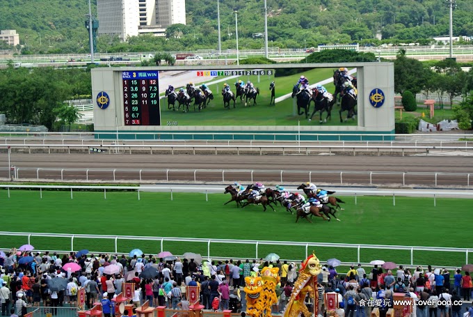 香港【沙田馬場】體驗港人的賭馬文化