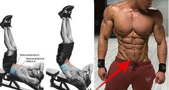 Lower Abs Muscle Gain With 10 Simple And Efficient Exercises