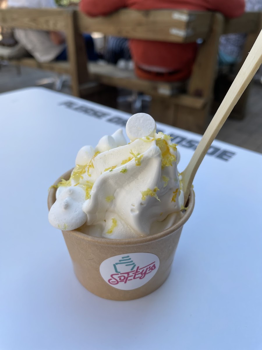 Gluten-Free Ice Cream at Softy's Tilburg Centrum