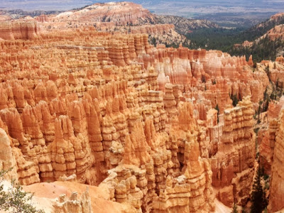 Costa Oeste de USA y New York - Blogs de USA - 6 de Agosto de 2013 "Buscando el sueño Americano".....Bryce Canyon!! (3)