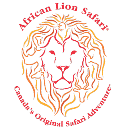 African Lion Safari