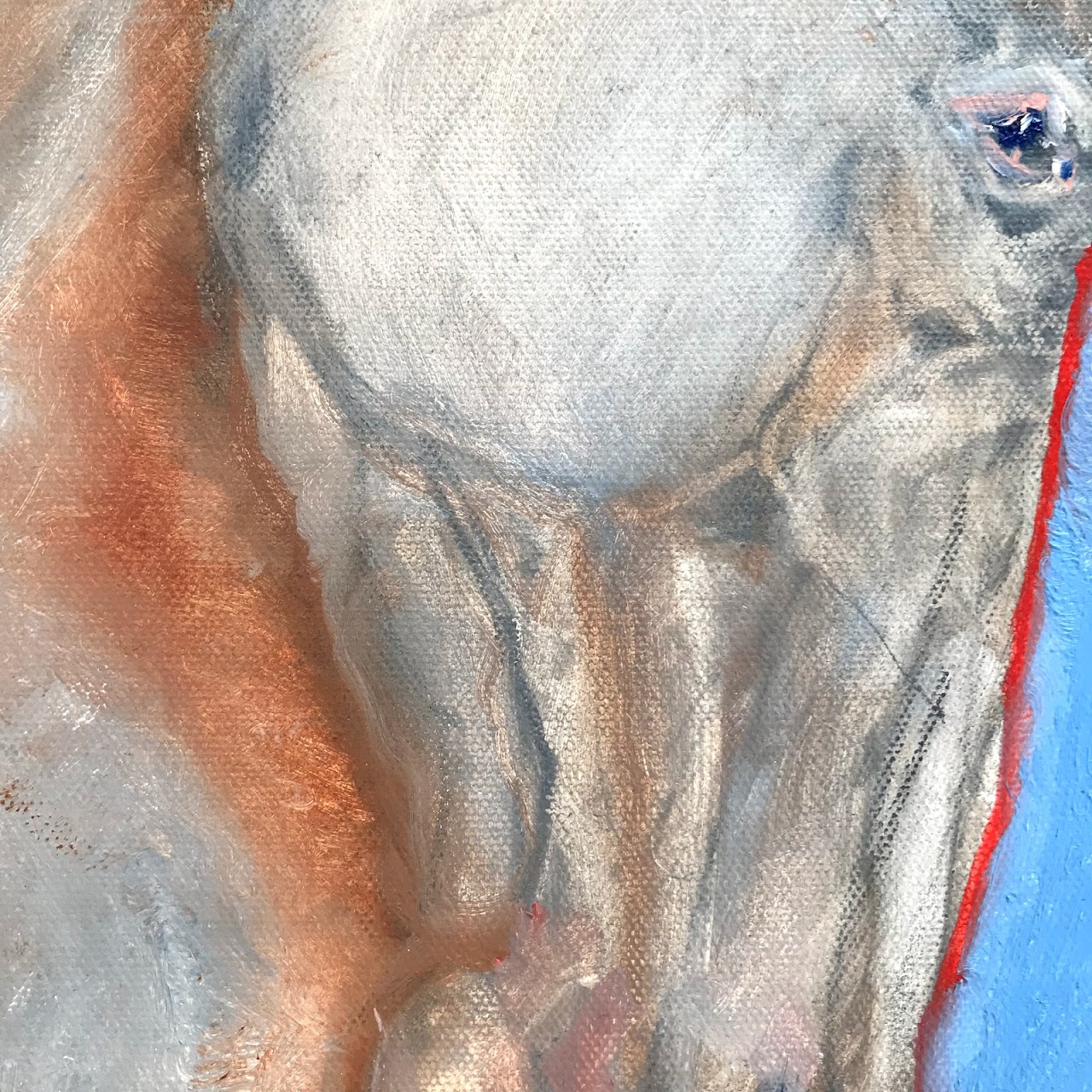 Horse Profile Painting