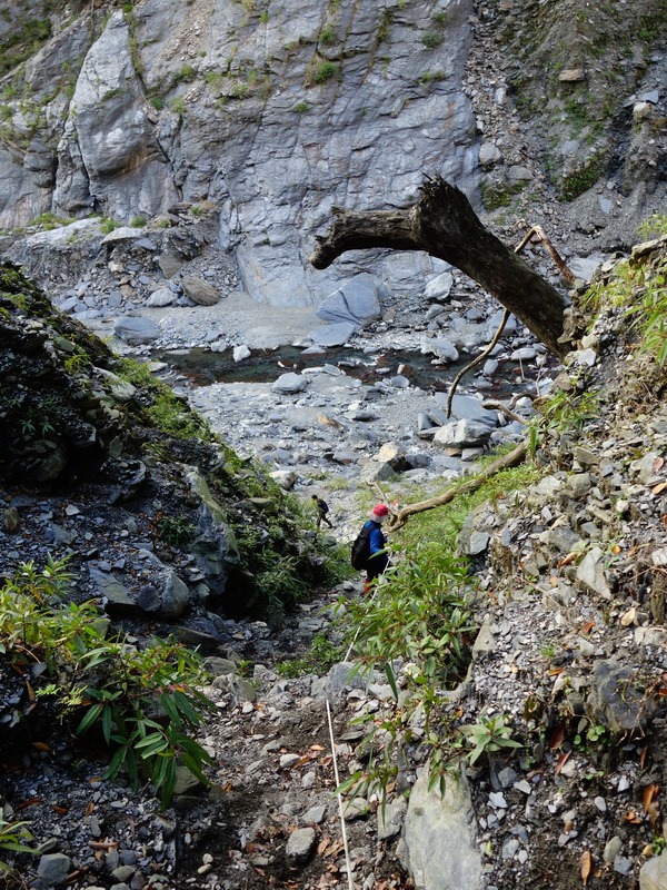 2014_0101-0105 萬山神石、萬山岩雕順訪萬頭蘭山_0886