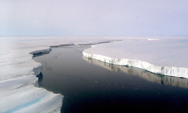 Crack in Larsen C ice shelf. Photo: Ted Scambos / NSIDC