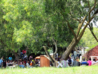 Faute de locaux, les étudiants de l'Université pédagogique national (UPN) suivent les cours sous les arbres, Kinshasa 6 février 2013. Ph. Kifinda