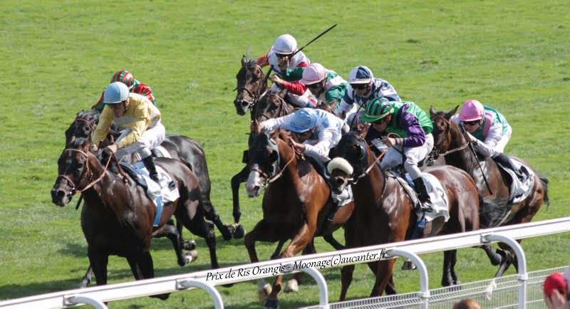 Photos Maisons-Laffitte 5-07-2015 IMG_2517