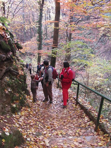 Složno naprijed