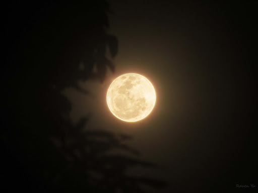 Gambar Bulan Purnama Newstempo