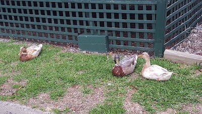 Photos of Woronora Village Tourist Park