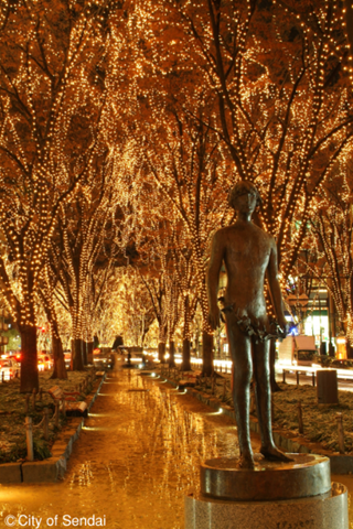 Illuminate Your Holidays in Japan This Winter! 8