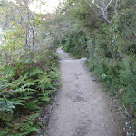 Track on western side of Bradleys head (57638)