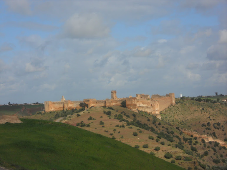 16 février 2011 - Boulaouane 002