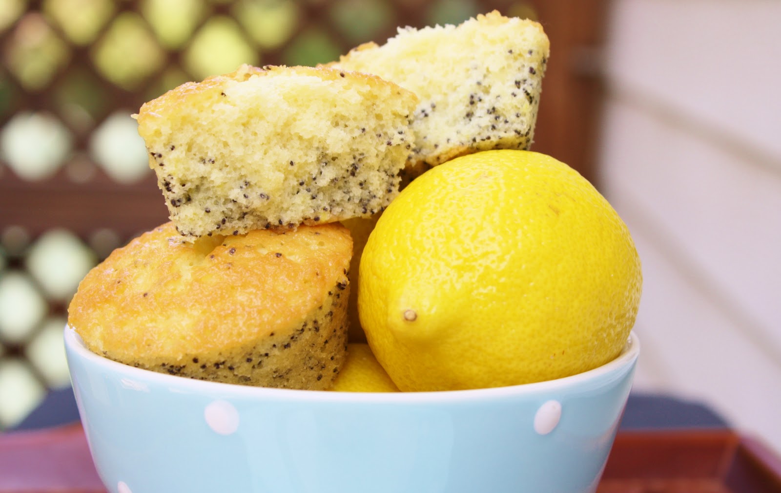 Burn Me Not Lemon Poppy Seed Tea Cakes