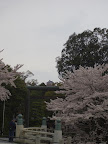 彦根城：護国神社の前より