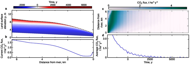 Simulated past and future morphology and fluxes of Mendaram peat dome. (A) Simulated past and future development of Mendaram peat dome toward its stable shape with uniform Laplacian (dashed line). (B) Current modeled CO2 sequestration rate vs. distance from groundwater divide at Mendaram peat dome. (C) Modeled CO2 sequestration rate vs. position and time at Mendaram peat dome. (D) Spatial average of modeled CO2 sequestration rate of Mendaram peat dome vs. time. Graphic: Cobb, et al., 2017 / PNAS