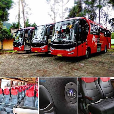 Sewa Bus Antavaya Transport