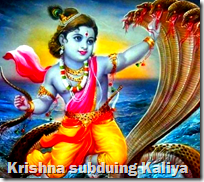 [Krishna subduing Kaliya]