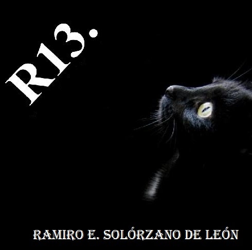 R13