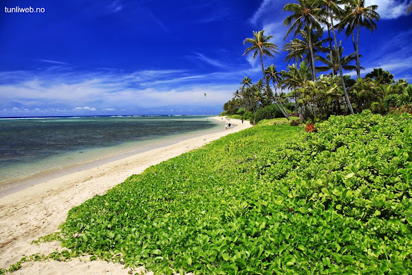 Waialae Beach Park