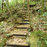 Timber steps north of Wollombi Brook Pool (364655)