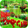 Garden Wallpaper icon