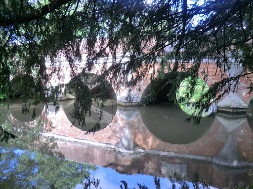 CIMG8427 Bridge over the Wey, Godalming