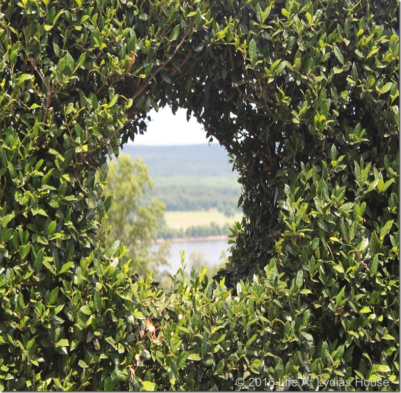 window in the hedge wall 3