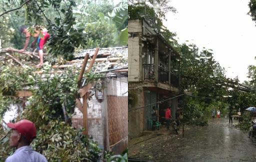 
Cuaca Ekstrim 3 Rumah Tertimpa Pohon Tumbang di Kalapanunggal Sukabumi
