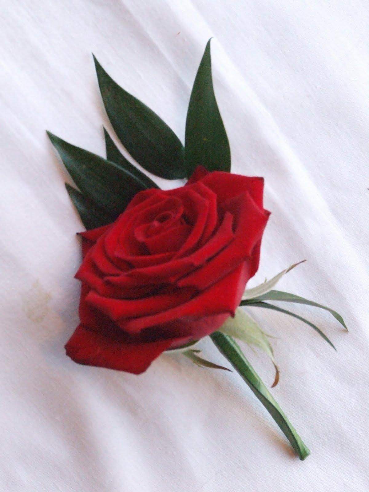 dark red rose bridal bouquets