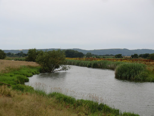 CIMG8990 River Arun at Pulborough Brooks